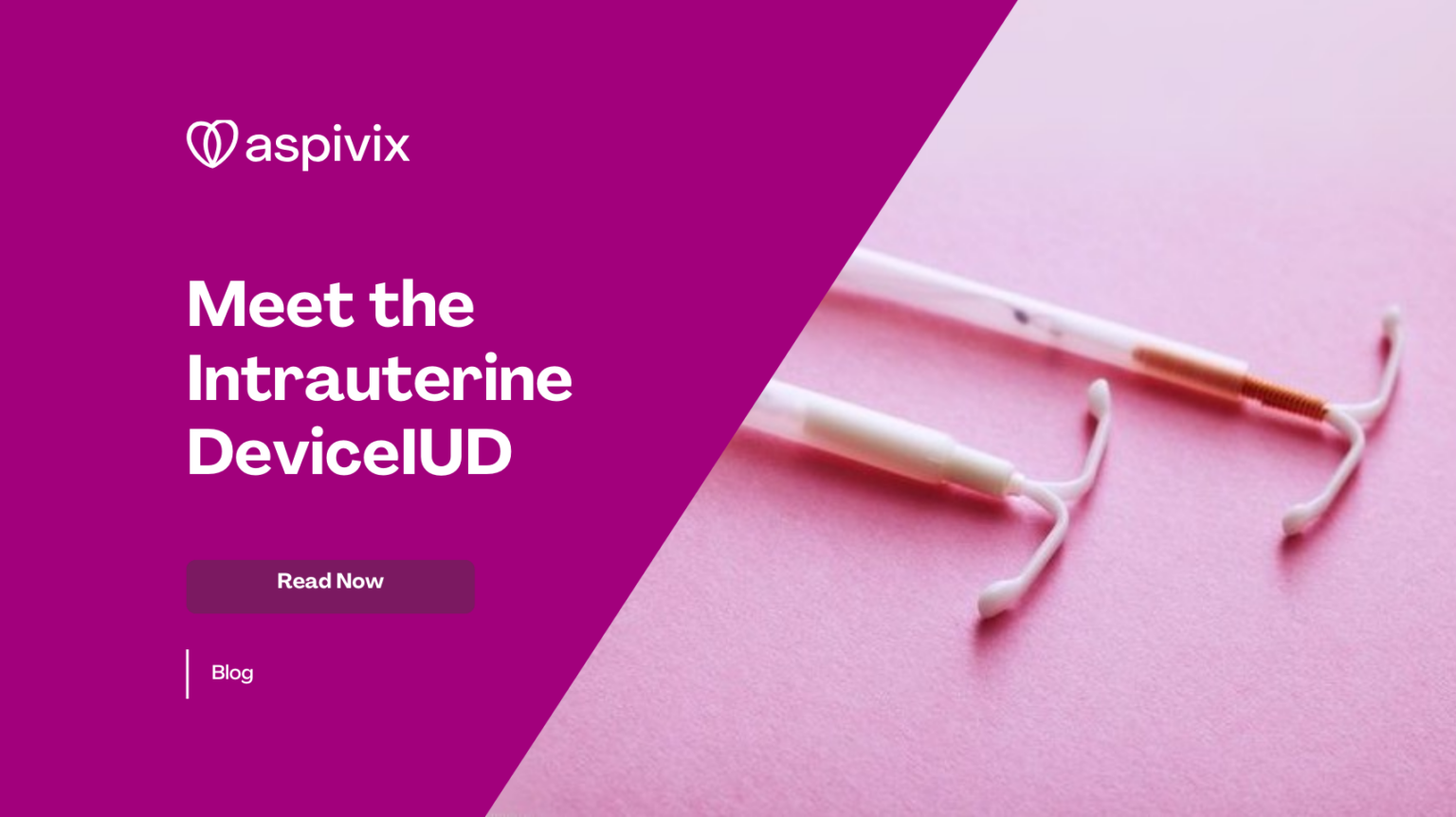 Meet The Intrauterine Device Iud Aspivix
