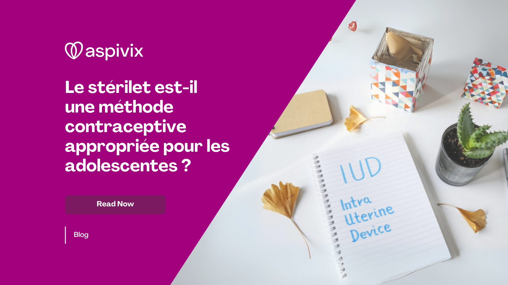 Is IUD an Appropriate Contraceptive Method for Teen Girls Is IUD an Appropriate Contraceptive Method for Teen Girls